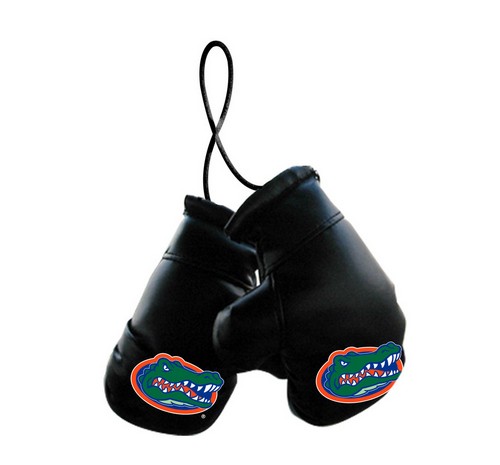 Florida Gators Boxing Gloves Mini