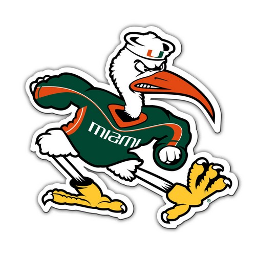 Miami Hurricanes Magnet Car Style 12 Inch Ibis Bird