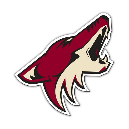 Arizona Coyotes Magnet Car Style 12 Inch