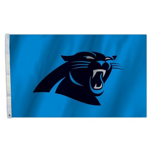 Carolina Panthers Flag 3x5 All Pro