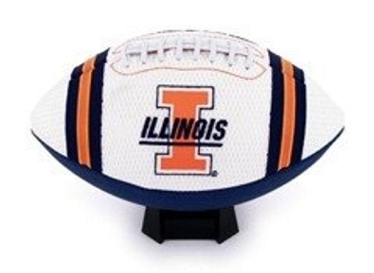 Illinois Fighting Illini Full Size Jersey Football CO