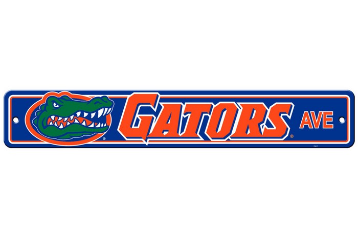 Florida Gators Sign 4x24 Plastic Street Style