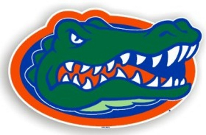 Florida Gators Magnet Car Style 12 Inch CO