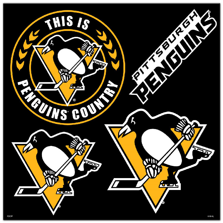 Pittsburgh Penguins Magnet Kit 4 Piece CO