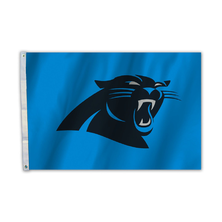 Carolina Panthers Flag 2x3 CO