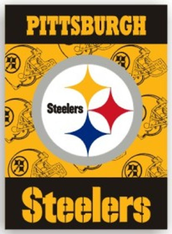 Pittsburgh Steelers Banner 28x40 House Flag Style 2 Sided CO