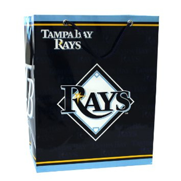 Tampa Bay Rays Gift Bag - Medium