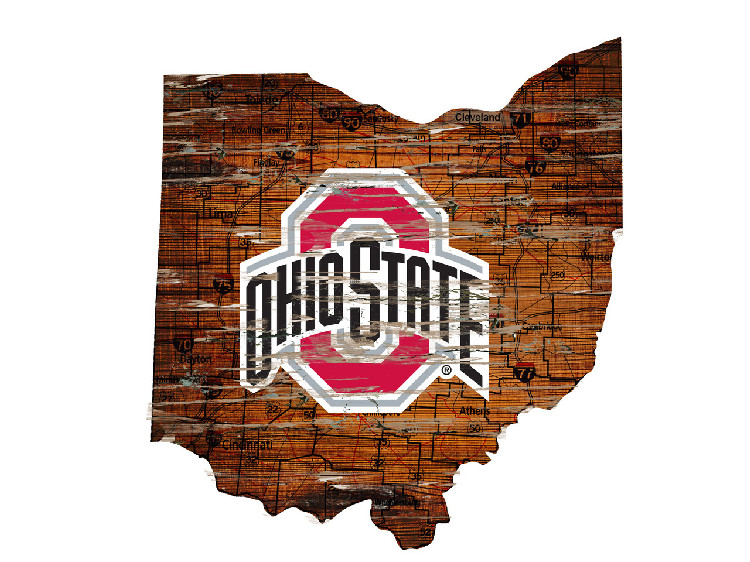 Ohio State Buckeyes Sign Wood 24 Inch State Wall Art Design