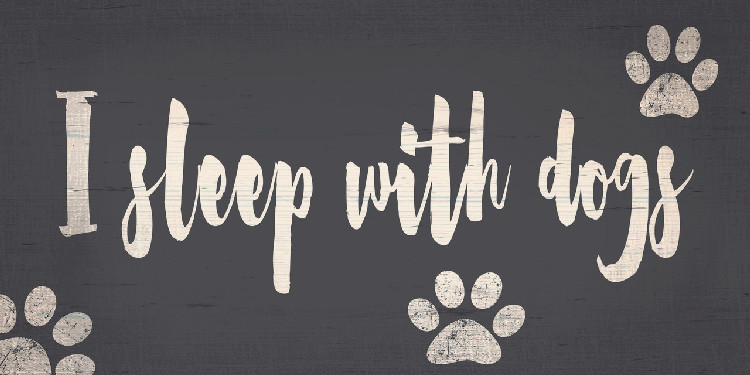 Pet Sign Wood I Sleep With Dogs 10"x5"