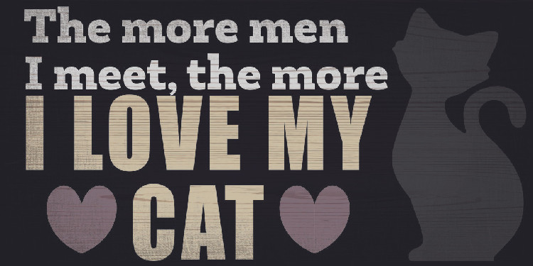 Pet Sign Wood I Love My Cat 10"x5"