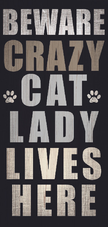 Pet Sign Wood Beware Crazy Cat Lady 5"x10"