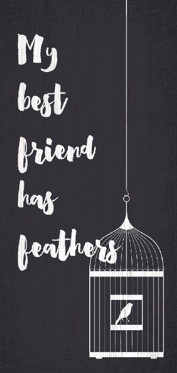 Pet Sign Wood My Best Friend Has Feathers 5"x10"