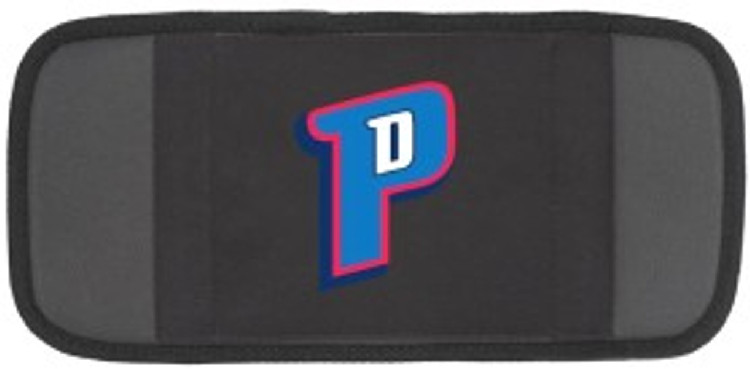 Detroit Pistons CD Visor 12 Disc Style CO