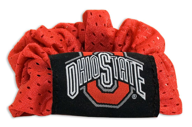 Ohio State Buckeyes Hair Twist Ponytail Holder CO