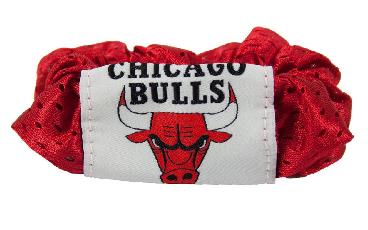 Chicago Bulls Hair Twist Ponytail Holder