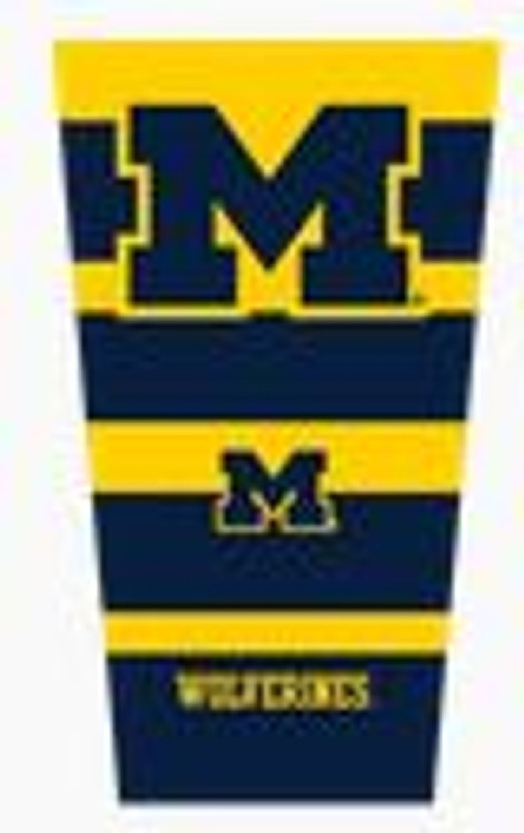 Michigan Wolverines Strong Arm Sleeve