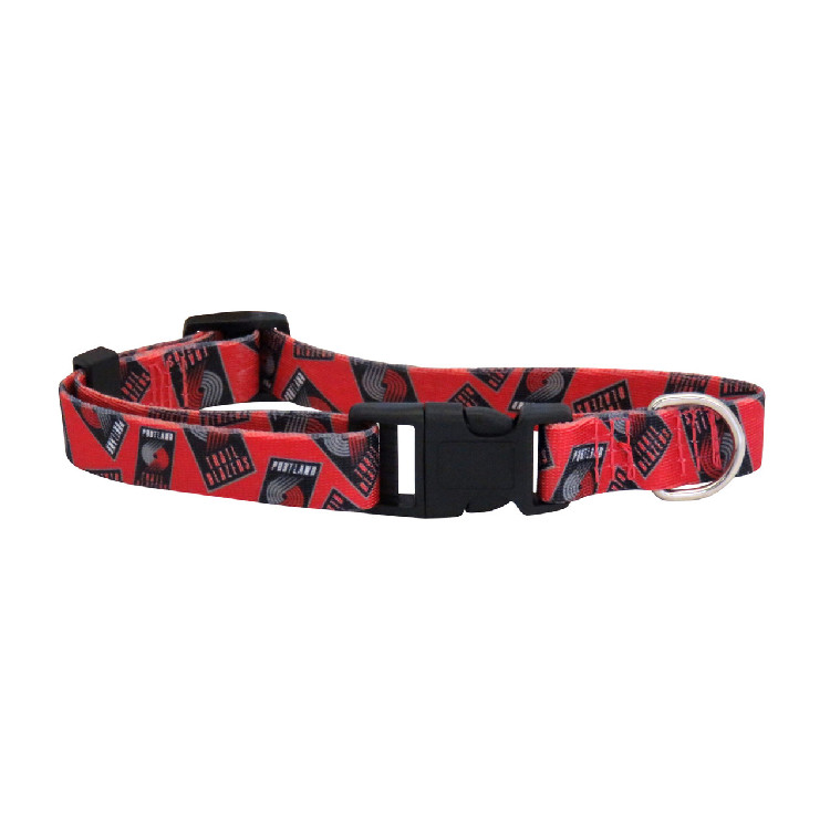 Oklahoma City Thunder Pet Collar Size S