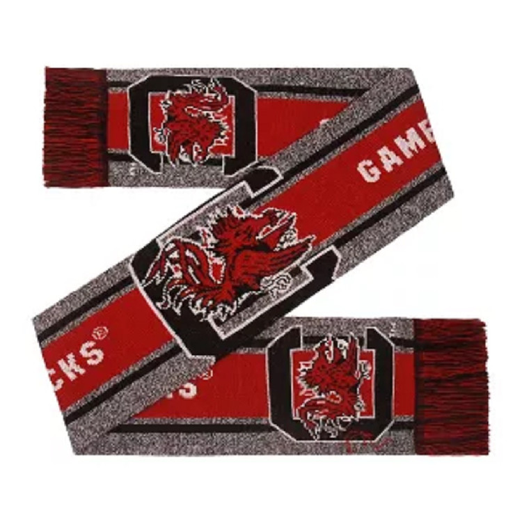 South Carolina Gamecocks Scarf Big Logo Wordmark Gray