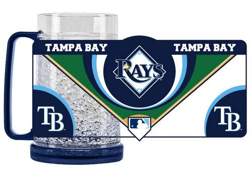 Duck House Tampa Bay Rays Mug Crystal Freezer Style -