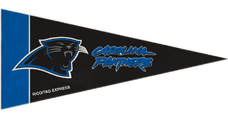 Carolina Panthers Pennant Set Mini 8 Piece