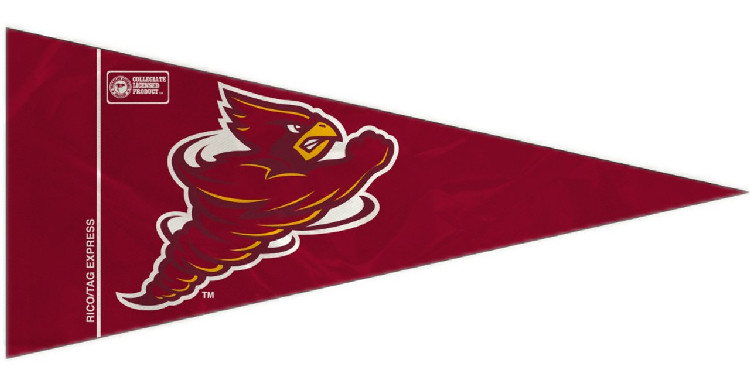 Iowa State Cyclones Pennant Set Mini 8 Piece