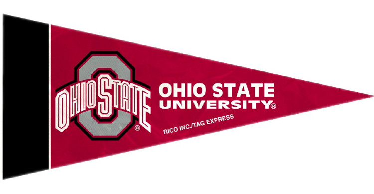 Ohio State Buckeyes Pennant Set Mini 8 Piece