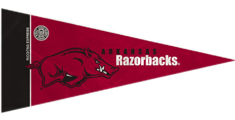 Arkansas Razorbacks Pennant Set Mini 8 Piece