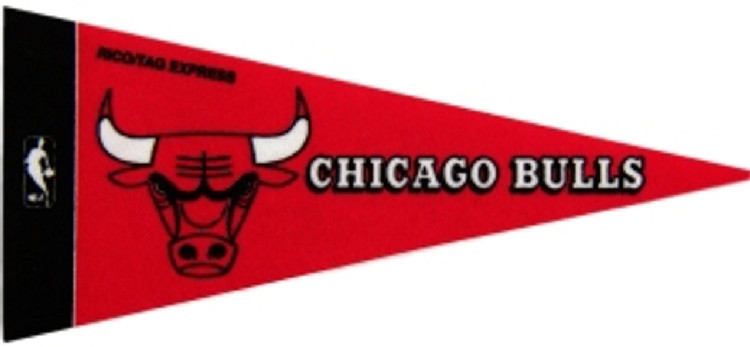 Chicago Bulls Pennant Set Mini 8 Piece