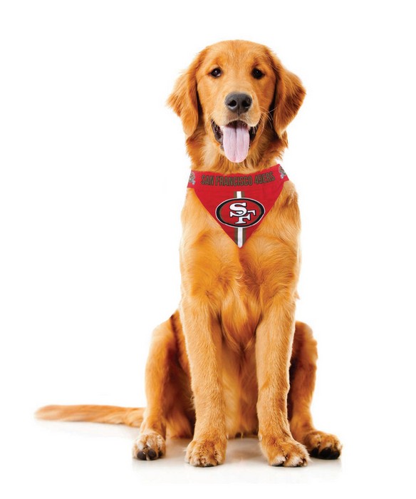 Little Earth Tampa Bay Buccaneers Pet Bandanna Size XS