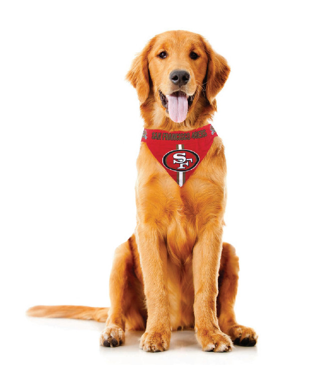 Kansas City Chiefs Pet Bandanna Size XS