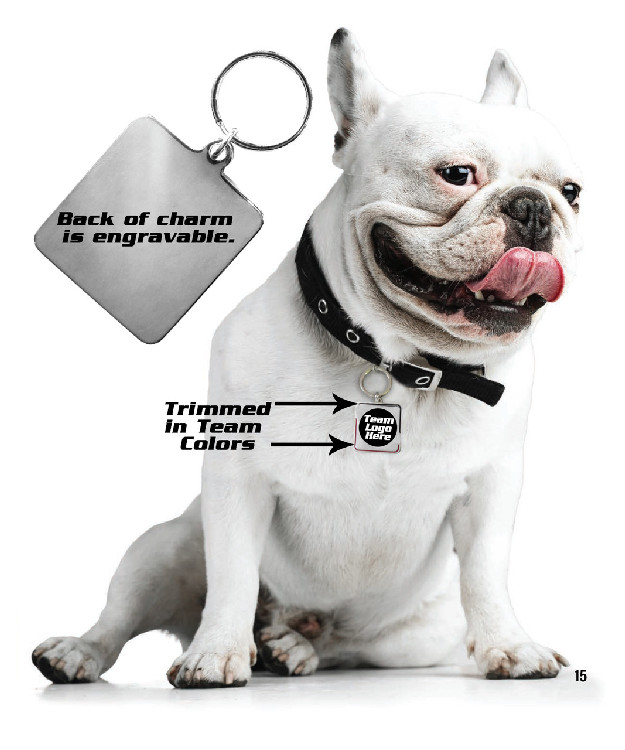 Chicago Bulls Pet Collar Charm