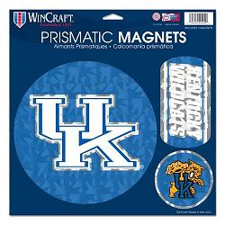 Kentucky Wildcats Magnets 11x11 Prismatic Sheet