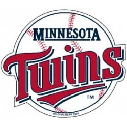 Minnesota Twins Precision Cut Magnet