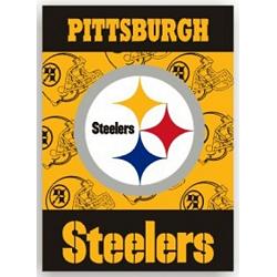 Pittsburgh Steelers Banner 28x40 House Flag Style 2 Sided CO