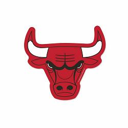 Chicago Bulls Logo on the GoGo