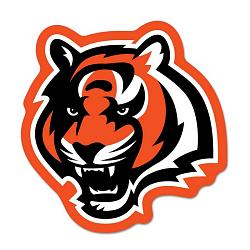 Cincinnati Bengals Logo on the GoGo