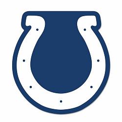 Indianapolis Colts Logo on the GoGo