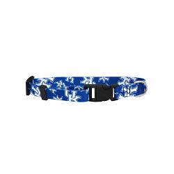 Kentucky Wildcats Pet Collar Size S