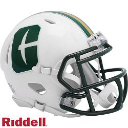 North Carolina Charlotte 49ers Helmet Riddell Replica Mini Speed Style
