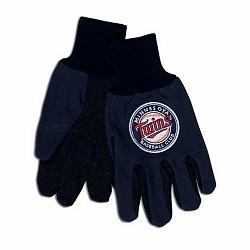 Minnesota Twins Two Tone Gloves - Adult Size