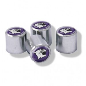 Northwestern Wildcats Valve Stem Caps