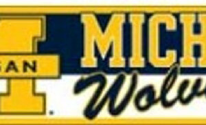 Michigan Wolverines Bumper Sticker