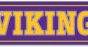 Minnesota Vikings Sign 3.75x19 Plastic Street Style