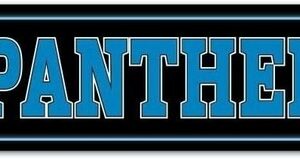 Carolina Panthers Sign 3.75x19 Plastic Street Style
