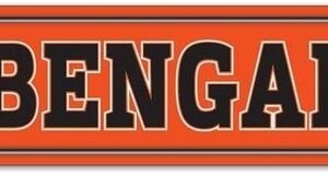 Cincinnati Bengals Sign 3.75x19 Plastic Street Style
