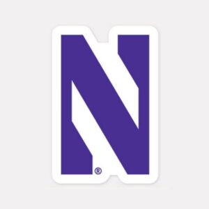 Northwestern Wildcats Decal 4x4 Perfect Cut Color