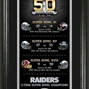 Oakland Raiders Super Bowl 50th Anniversary Bronze Coin Supreme Photo Mint