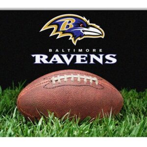 Baltimore Ravens Classic NFL Football Pet Bowl Mat - L