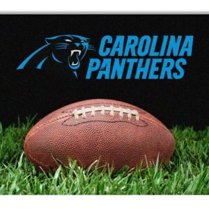 Carolina Panthers Classic NFL Football Pet Bowl Mat - L