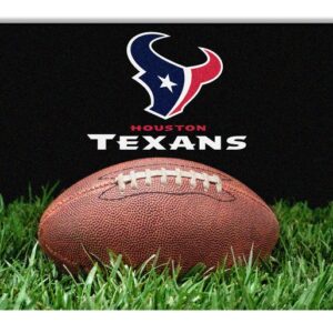 Houston Texans Classic NFL Football Pet Bowl Mat - L